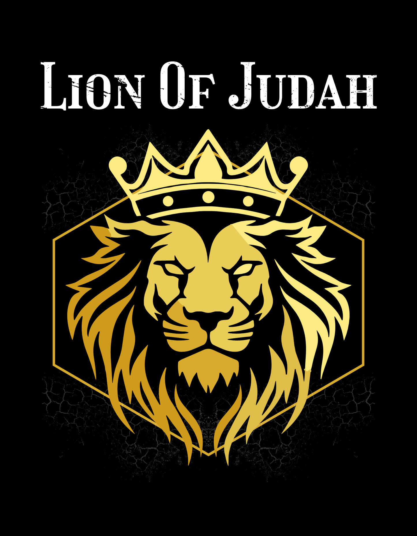 'Lion Of Judah' Unisex Oversized Hooded Sweatshirt